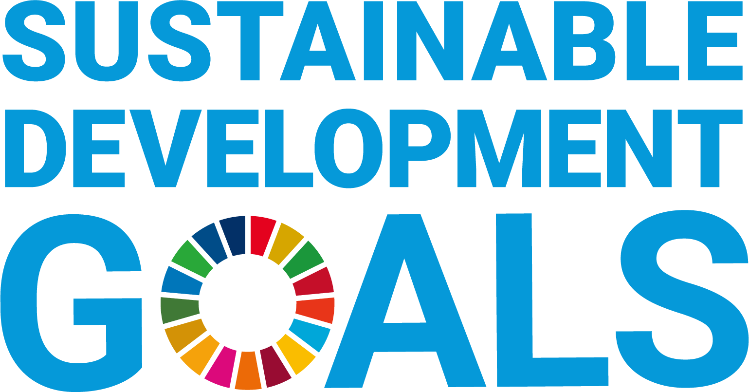SDG Logo 2